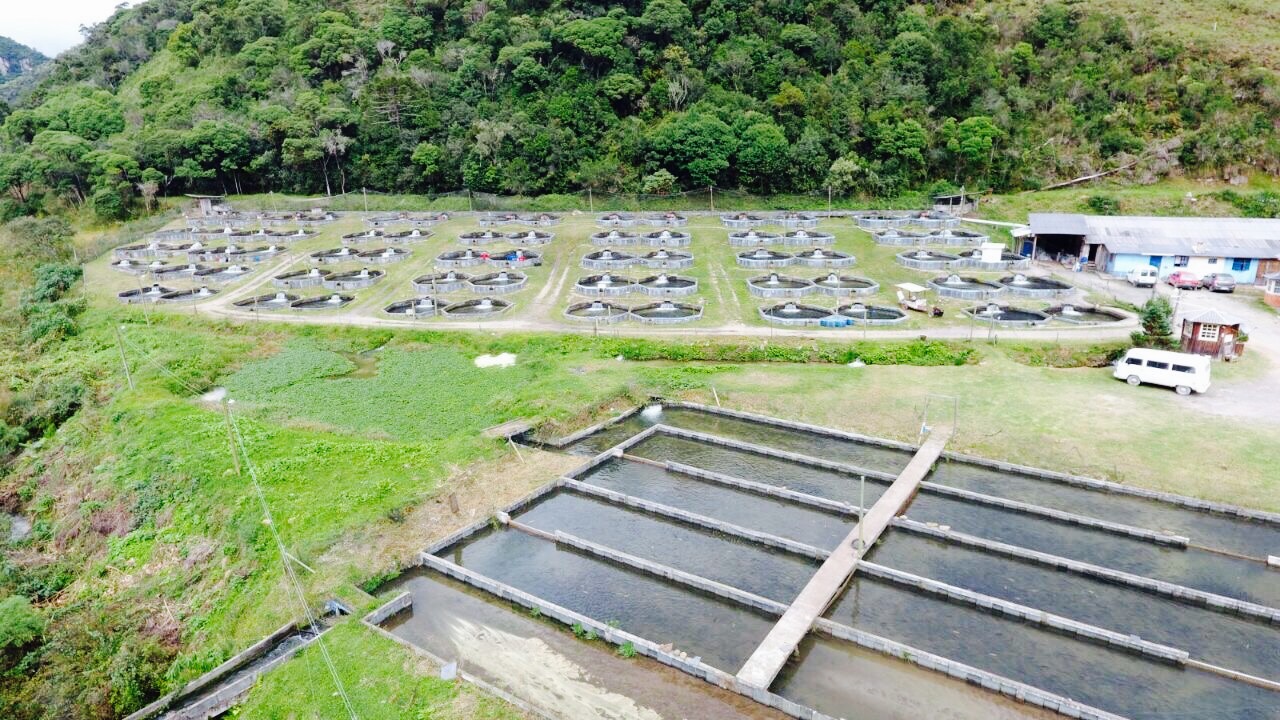 Vista aérea da criação de trutas
